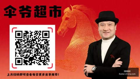 辛纳阐述：努力成就澳网辉煌之路